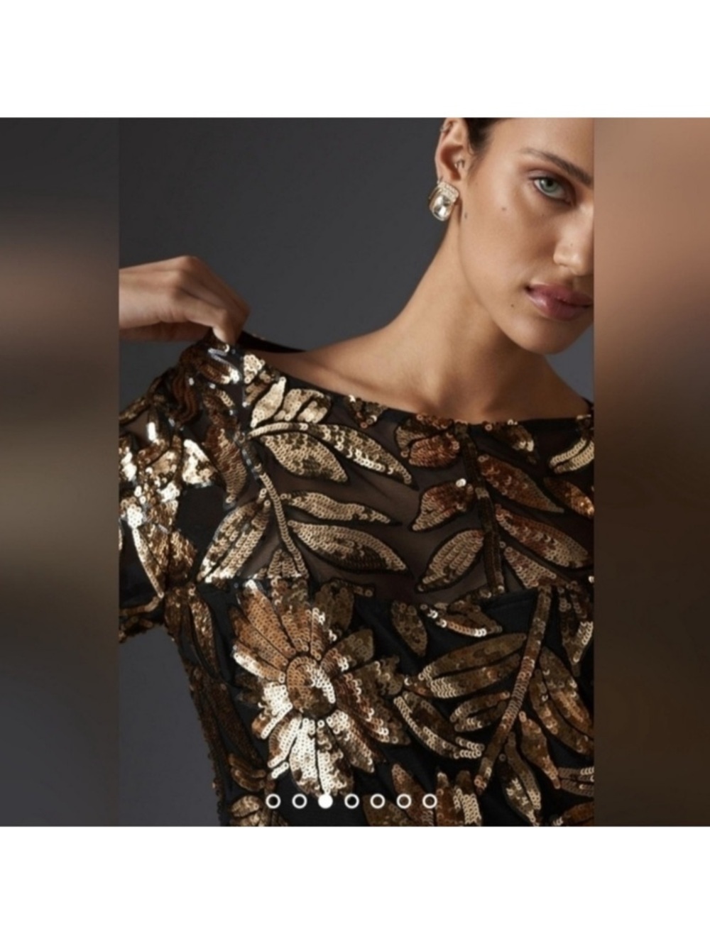 NWT Anthropologie Maeve Short-Sleeve Sheer Embellished Mini Dress Size XS Petite - Picture 3 of 10